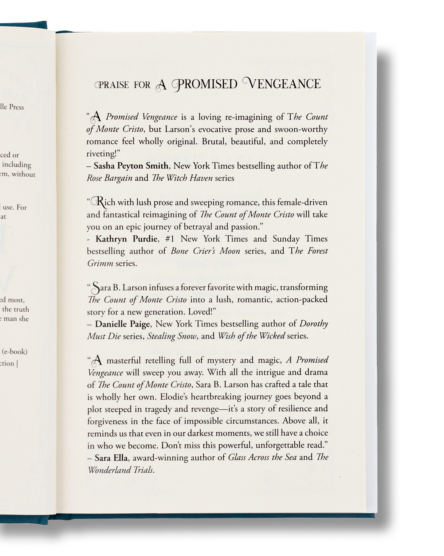 A Promised Vengeance by Sara B. Larson - Wholesale Case
