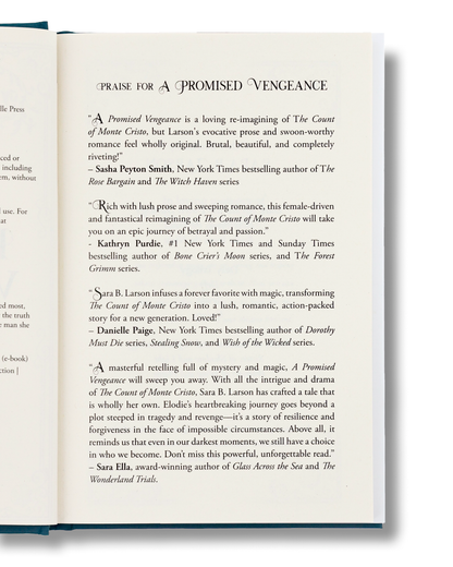 A Promised Vengeance by Sara B. Larson - Wholesale Case